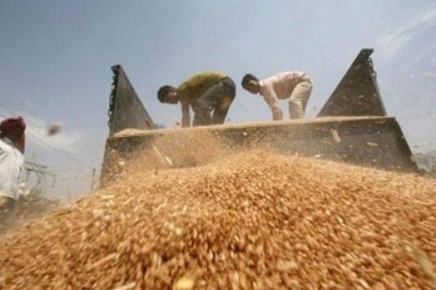 인도 정부의 무역원활화협정 승인거부와 한국 정부의 쌀시장 개방