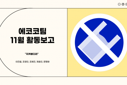 [22기] 순천팀 지역사회 혁신프로젝트 자원활동 보고서 (11월)